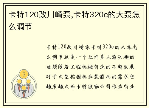 卡特120改川崎泵,卡特320c的大泵怎么调节