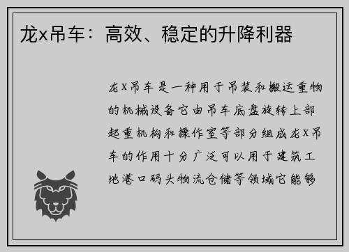 龙x吊车:高效、稳定的升降利器